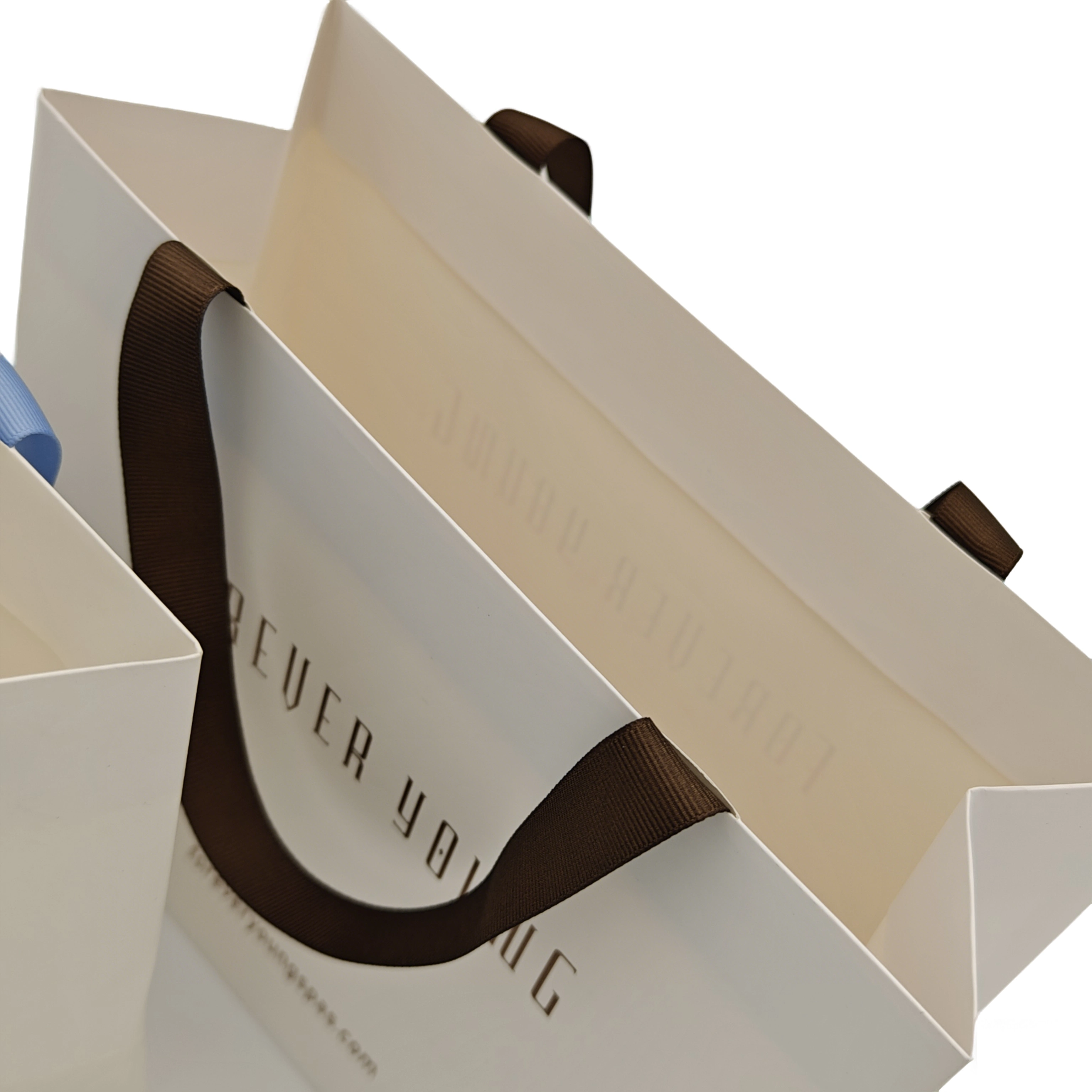  Papiertüten zum Einkaufen 